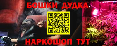 гидра Кингисепп