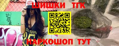 гидра Кингисепп