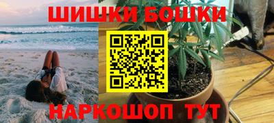гидра Кингисепп