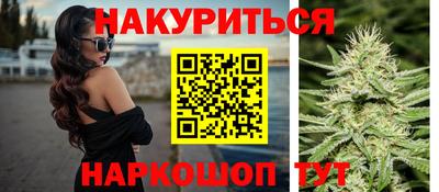 гидра Кингисепп