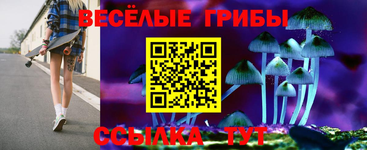 Псилоцибиновые грибы Psilocybe  Галлюциногенные грибы Cubensis  Вход с VPN  Кизилюрт 